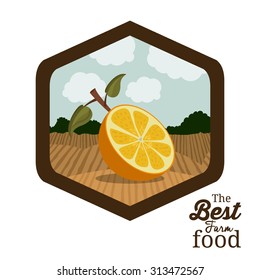 Farm Food digital design, vector illustration eps 10