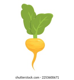 Farm food icon cartoon vector. Turnip vegetable. Diet plant