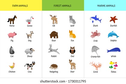 Farm, forest, sea marine animals set. Educational flashcard for preschoolers. Home study of zoology. Goose, cow, wolf, fox, stingray, whale, dolphin, crab, fish, rabbit, ram