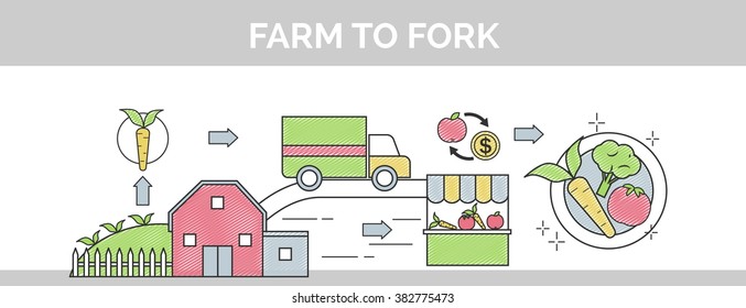 From farm to fork flat vector thin line scribble header banner illustration. Sows how organic food makes its way from farm to your plate.