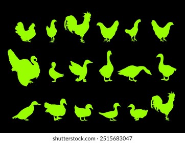 Aves de aves de granja colección Vector silueta ilustración aislada. Aves de corral domésticas: pavo, ganso, gallo, pollo, gallina, pato, ganso chino. Animales de rancho alimentos orgánicos. Agricultura tradicional del pueblo