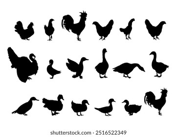 Coleção de aves de galinha de fazenda silhueta de vetor ilustração isolada. Aves domésticas: Turquia, ganso, galo, galinha, galinha, pato, ganso chinês. Ração de animais comida orgânica. Agricultura tradicional da aldeia