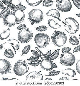 Farm fresh apples seamless pattern. Vector hand drawn sketch illustration of fruits harvest. Label package background. Wrapping paper, textile print design