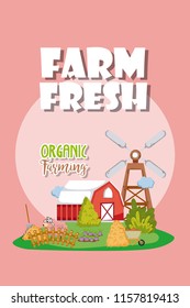 Farm fresh cartoons