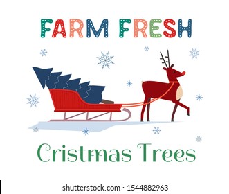 Farm fresh Christmas trees flat color vector poster. Winter holidays hand drawn cartoon. Cute comic reindeer transport Christmas tree on sleigh. Fun banner of trees sale for New Year event celebration