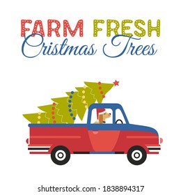 Farm fresh Christmas trees flat color vector icon  Winter holidays hand drawn cartoon  Cute comic dog transport Christmas tree by red truck  Fun banner trees sale for New Year joy event celebration
