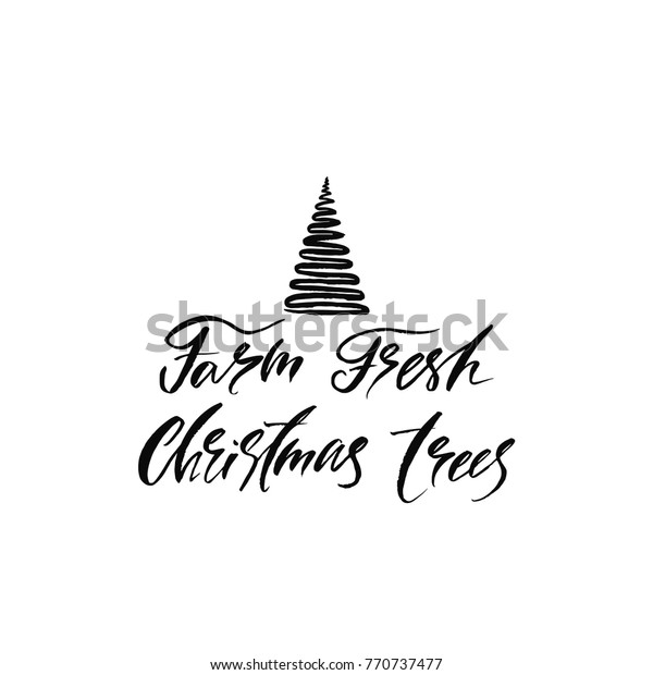 新鮮なクリスマスツリーを作る 祝日の習字句 クリスマスタイポグラフィー用グリーティングカード 白い背景に手書きのベクターイラストeps10をスケッチします のベクター画像素材 ロイヤリティフリー