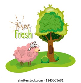 Farm fresh concept