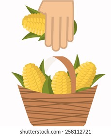farm fresh design, vector illustration eps10 graphic 