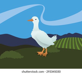 Farm Fresh digital design, vector illustration 10 eps graphic