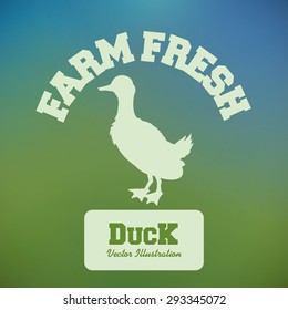 Farm Fresh digital design, vector illustration 10 eps graphic