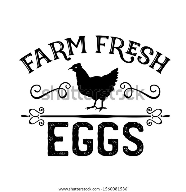 Farm Fresh Eggs Vector File Chicken Stock Vector (Royalty Free) 1560081536