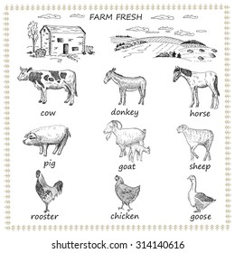 farm fresh. hand drawing set of vector sketches