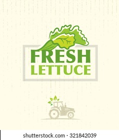 Farm Fresh Lettuce Salad Creative Vector Design Element On Cardboard Texture Background.