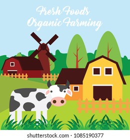 farm fresh organic foods. organic concept. vector illustration