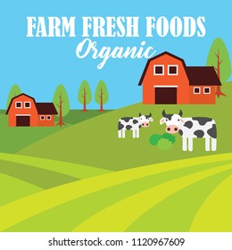 farm fresh organic foods. organic concept. vector illustration