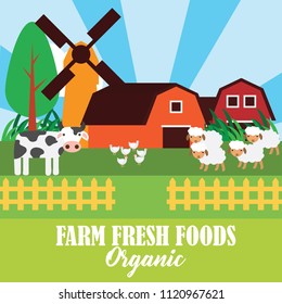 farm fresh organic foods. organic concept. vector illustration