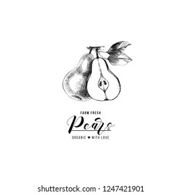 Farm fresh pears logo template. Eco food concept. Vector illustration
