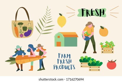Farm fresh products vector illustrations set in flat, colorful style