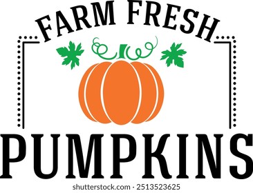 Farm fresh pumpkins. Fall squash illustration vector