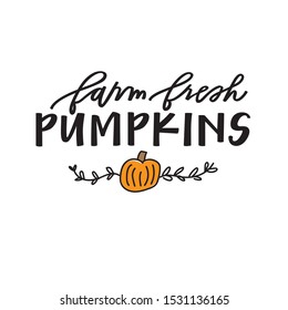 Farm fresh pumpkins illustration and hand lettering