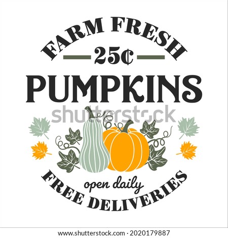 Farm fresh pumpkins open daily inspirational slogan inscription. Vector Thanksgiving quotes. Illustration for prints on t-shirts and bags, posters, cards. Fall phrase. Isolated on white background.