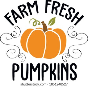 Farm Fresh Pumpkins. Thanskgiving Day