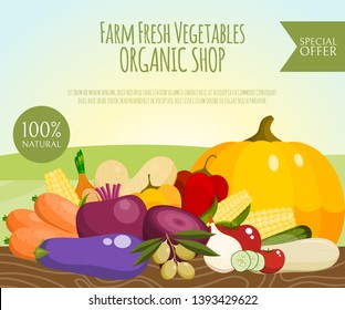 Farm fresh vegetables banner vector illustration. Food market. Vegetarian, natural products. Healthy lifestyle. Includes pepper, tomato, potato, carrot, beet. Organic shop.
