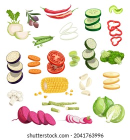 Farm fresh vegetables big set. Collection of veggies icons. Best for menu, coocking and package designs. Vector illustrations isolated on white background.