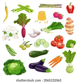 Farm fresh vegetables big set. Collection of veggies icons. Best for menu and package designs. Vector illustrations isolated on white background.