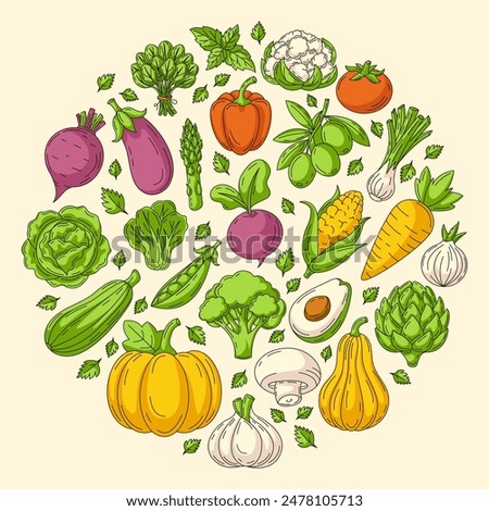 Farm fresh vegetables, round shape form. Veggies vector colorful line icons on isolated background. Organic food, natural eco products. Square card for banner, poster, menu, social media, web design