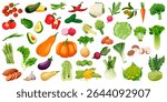 Farm fresh vegetables set. Vector veggie illustration. Healthy vegan food, farming and harvest design elements. Tomato, carrot, broccoli, onion, garlic, cabbage, pepper icons