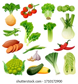 Farm fresh vegetables set. Vector flat cartoon illustration. Isolated celery, tomato, brussels cabbage, peas, leek and green beans. Autumn farming and harvesting design elements.