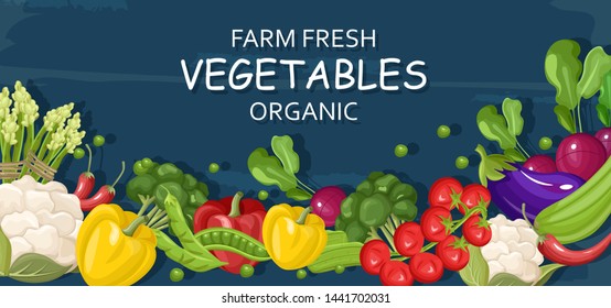 Farm Fresh Vegetables Vector Banner. Store Shop Grocery Detailed Illustrations Poster