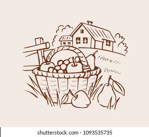 Farm fruit basket on grass and house. Vector