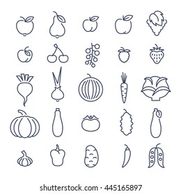 Farm fruits and vegetables flat thin line vector icons set. Organic healthy food linear symbols. Harvest infographic elements. Agriculture design. Apple, tomato, pepper, cherry, berries etc.