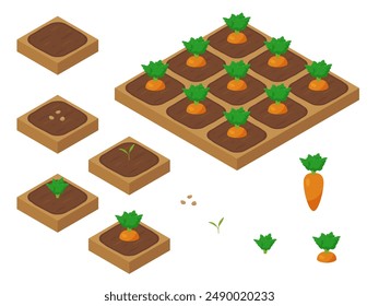 Farm game growing carrots illustration_isometric