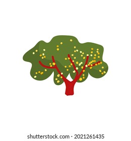 farm garden  apricot tree with ripe fruit,  agriculture plant vector illustration