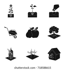 Farm, garden, and other web icon in black style. Calcium, Desert, watering icons in set collection.