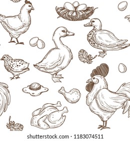 Farm with geese and hens, rooster and eggs pattern vector