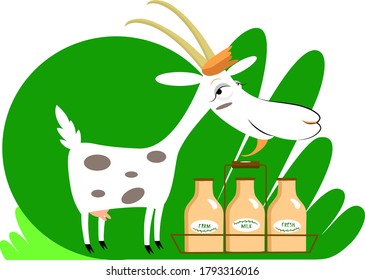 Farm goat and bottles of milk. Funny cartoon character, colorful flat vector illustration. Concept for farm dairy products, dairy products for children 
