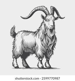 Farm goat engraving style side view Farming Vector illustration.