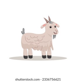Farm goat standing on white background. Livestock, farm, countryside, animal. 