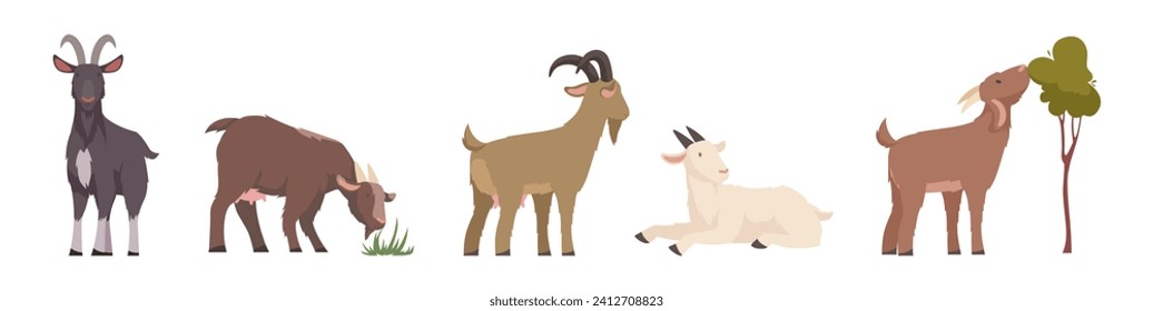 Farm goats. Domestic farm animal in action poses exact vector goats with horns and wool cartoon funny characters