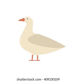 Farm goose illustration. Isolated on background.