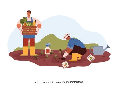 Farm or greenhouse workers picking vegetables in autumn flat cartoon vector illustration isolated on white background. Farmers or agronomists at work in field.