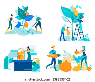 Farm for Growing Vegetables Vector Illustration. Woman is Watering Large Plant from Watering Can. Man Fertilizes Plant from Spray. Woman Cans Fruit in Glass Jar. People Sort Roots.