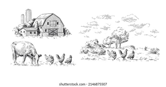 farm hand drawing sketch engraving illustration style