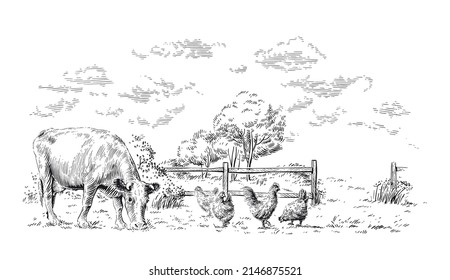 farm hand drawing sketch engraving illustration style