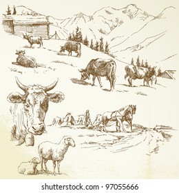 farm - hand drawn set